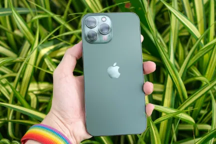 كوين بيت كازينو تطبيق الهاتف المحمول